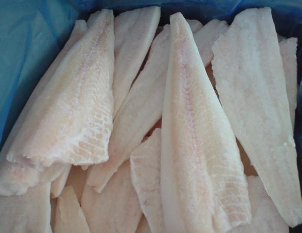 Frozen Cod