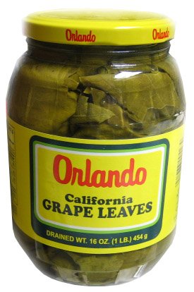 Orlando Grape Leaves